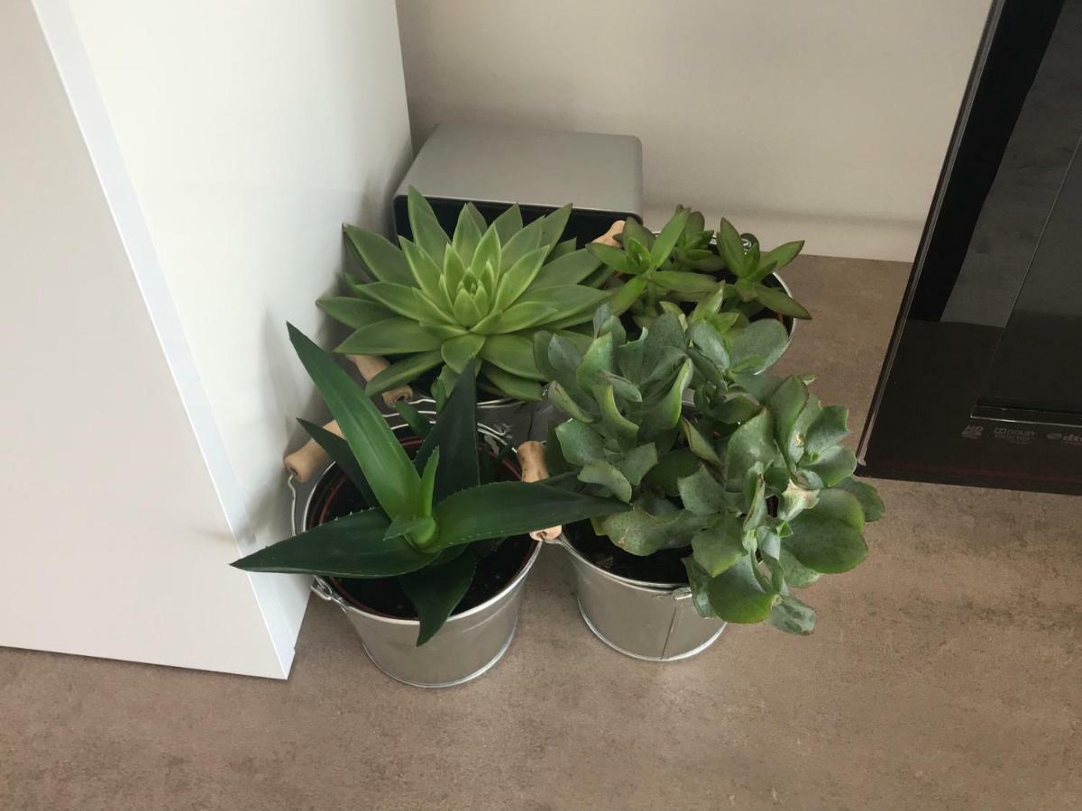 Stilvolles Appartement 뤼덴샤이드 외부 사진